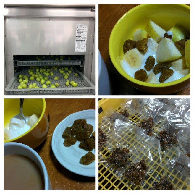 20170928_221358-COLLAGE